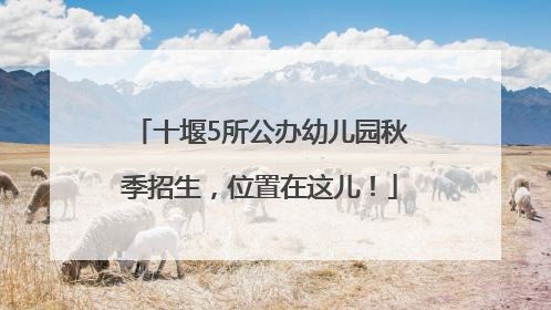 十堰5所公办幼儿园秋季招生，位置在这儿！