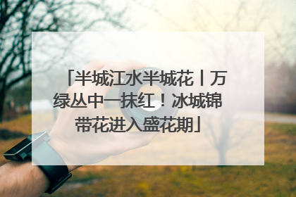 半城江水半城花丨万绿丛中一抹红！冰城锦带花进入盛花期
