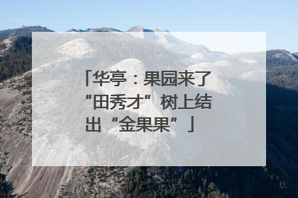 华亭：果园来了“田秀才”树上结出“金果果”