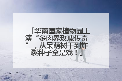 华南国家植物园上演“多肉界玫瑰传奇”，从呆萌树干到炸裂种子全是戏！