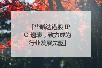 华曦达港股 IPO 递表，致力成为行业发展先驱