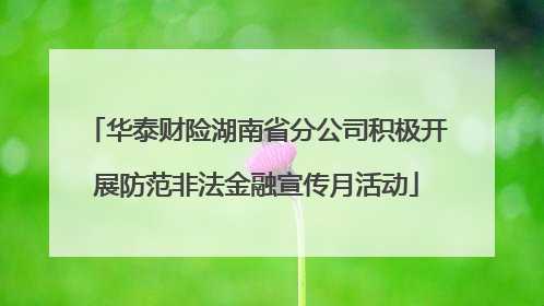 华泰财险湖南省分公司积极开展防范非法金融宣传月活动