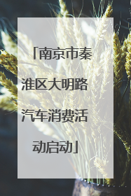 南京市秦淮区大明路汽车消费活动启动