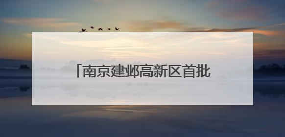 南京建邺高新区首批信创消费券兑现！第二批申报即将启动