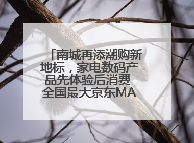 南城再添潮购新地标，家电数码产品先体验后消费 全国最大京东MALL开业