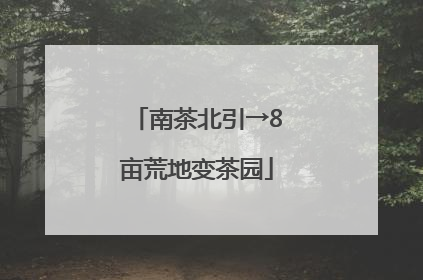 南茶北引→8亩荒地变茶园