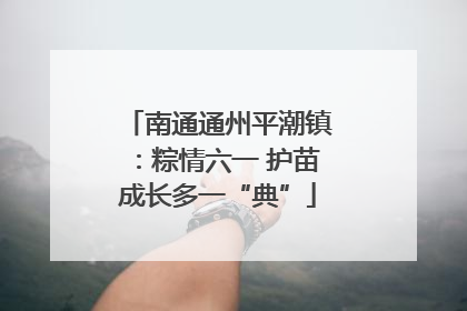 南通通州平潮镇：粽情六一 护苗成长多一“典”