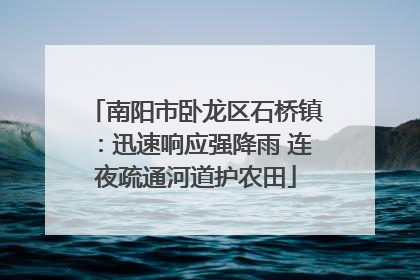 南阳市卧龙区石桥镇：迅速响应强降雨 连夜疏通河道护农田