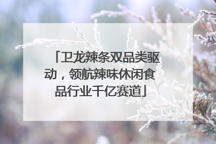 卫龙辣条双品类驱动，领航辣味休闲食品行业千亿赛道