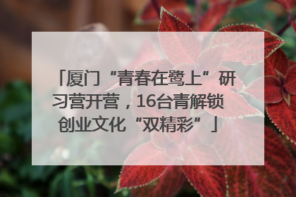 厦门“青春在鹭上”研习营开营，16台青解锁创业文化“双精彩”