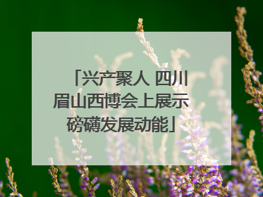 兴产聚人 四川眉山西博会上展示磅礴发展动能
