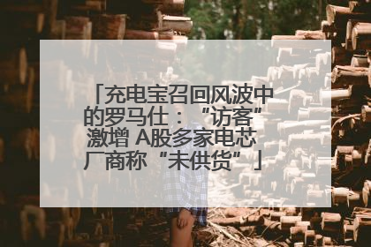 充电宝召回风波中的罗马仕：“访客”激增 A股多家电芯厂商称“未供货”