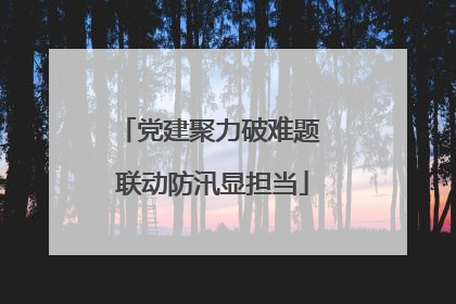 党建聚力破难题 联动防汛显担当