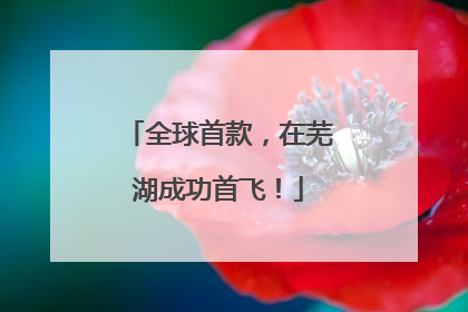 全球首款,在芜湖成功首飞!
