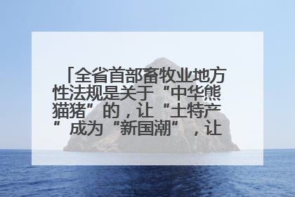 全省首部畜牧业地方性法规是关于“中华熊猫猪”的，让“土特产”成为“新国潮”，让“农产品”升格为“城市IP”