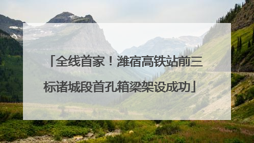 全线首家！潍宿高铁站前三标诸城段首孔箱梁架设成功