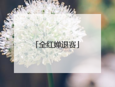 全红婵退赛