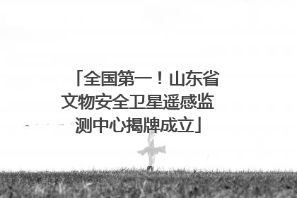 全国第一！山东省文物安全卫星遥感监测中心揭牌成立