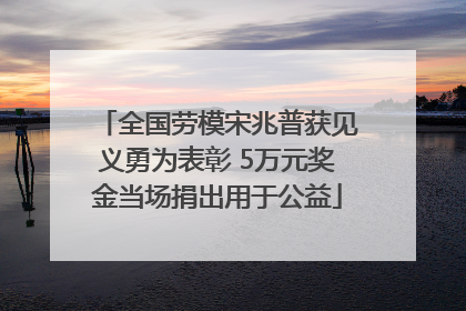 全国劳模宋兆普获见义勇为表彰 5万元奖金当场捐出用于公益