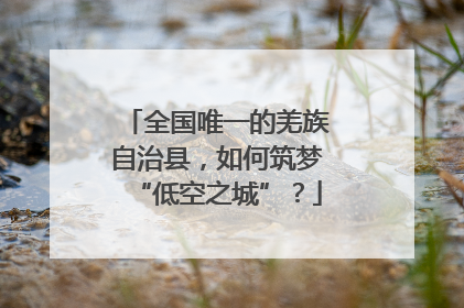 全国唯一的羌族自治县，如何筑梦“低空之城”？
