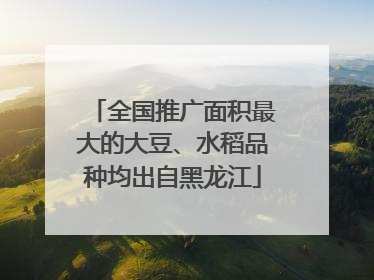 全国推广面积最大的大豆、水稻品种均出自黑龙江