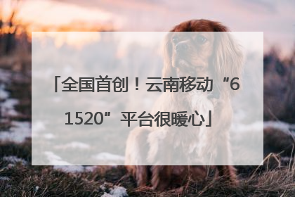 全国首创！云南移动“61520”平台很暖心
