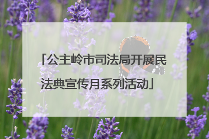 公主岭市司法局开展民法典宣传月系列活动