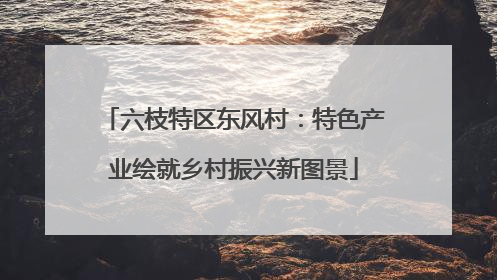 六枝特区东风村：特色产业绘就乡村振兴新图景