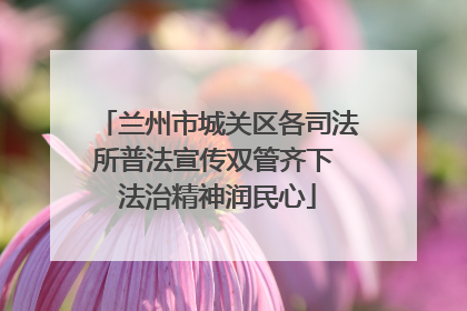 兰州市城关区各司法所普法宣传双管齐下 法治精神润民心