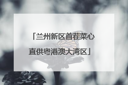 兰州新区首茬菜心直供粤港澳大湾区