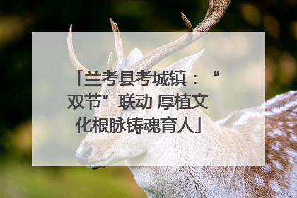 兰考县考城镇：“双节”联动 厚植文化根脉铸魂育人
