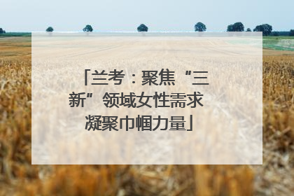 兰考：聚焦“三新”领域女性需求 凝聚巾帼力量