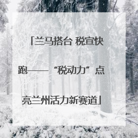兰马搭台 税宣快跑——“税动力”点亮兰州活力新赛道