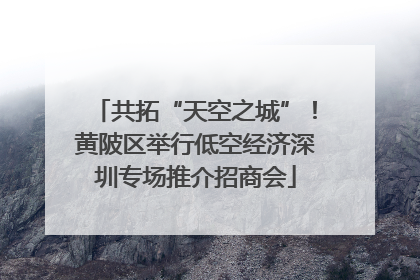 共拓“天空之城”！黄陂区举行低空经济深圳专场推介招商会