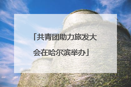 共青团助力旅发大会在哈尔滨举办