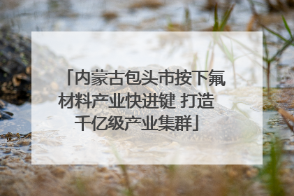 内蒙古包头市按下氟材料产业快进键 打造千亿级产业集群