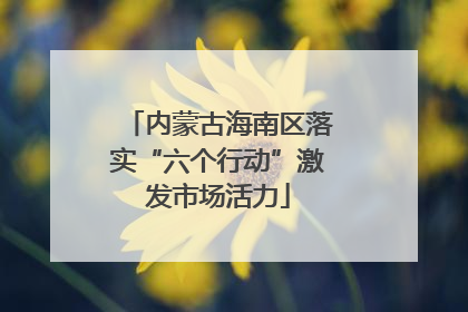 内蒙古海南区落实“六个行动”激发市场活力
