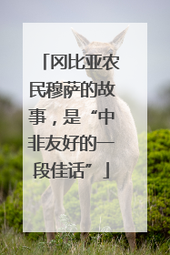 冈比亚农民穆萨的故事，是“中非友好的一段佳话”