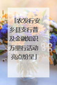 农发行安乡县支行普及金融知识万里行活动亮点纷呈