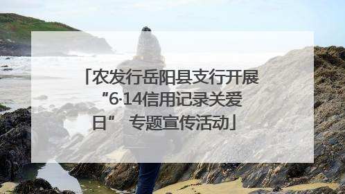 农发行岳阳县支行开展“6·14信用记录关爱日” 专题宣传活动