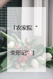 农家院“变形记”