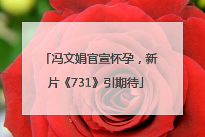 冯文娟官宣怀孕，新片《731》引期待
