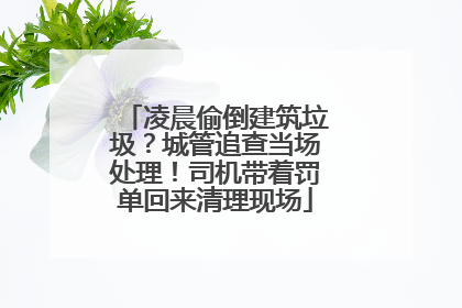 凌晨偷倒建筑垃圾？城管追查当场处理！司机带着罚单回来清理现场