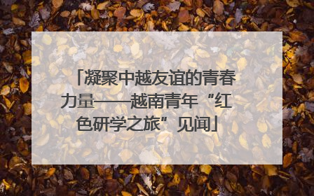 凝聚中越友谊的青春力量——越南青年“红色研学之旅”见闻