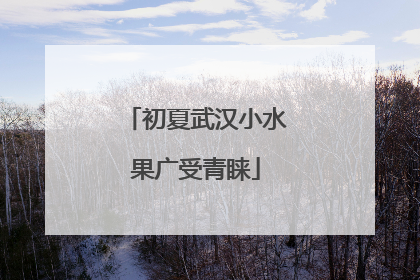 初夏武汉小水果广受青睐