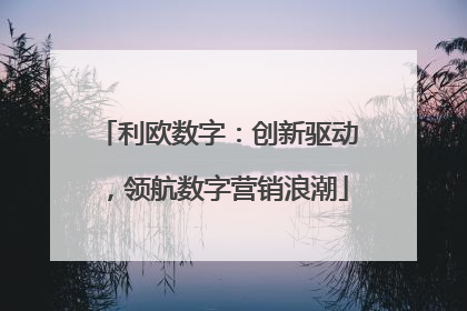 利欧数字：创新驱动，领航数字营销浪潮