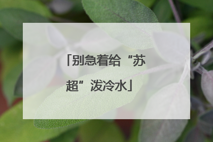 别急着给“苏超”泼冷水