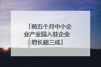 前五个月中小企业产业园入驻企业增长超三成