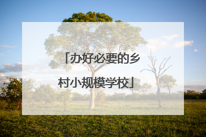 办好必要的乡村小规模学校