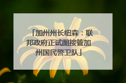 加州州长纽森：联邦政府正试图接管加州国民警卫队